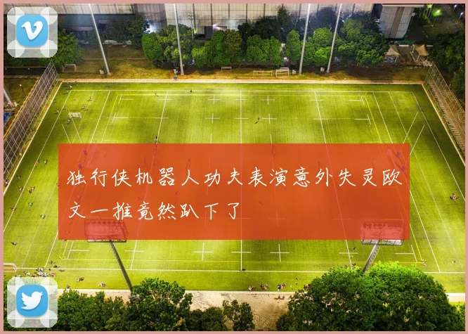 独行侠机器人功夫表演意外失灵欧文一推竟然趴下了