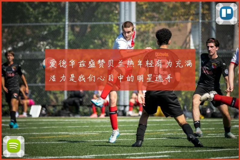 爱德华兹盛赞贝兰热年轻有为充满活力是我们心目中的明星选手
