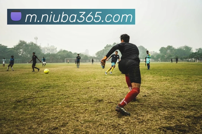 牛八平台生态图